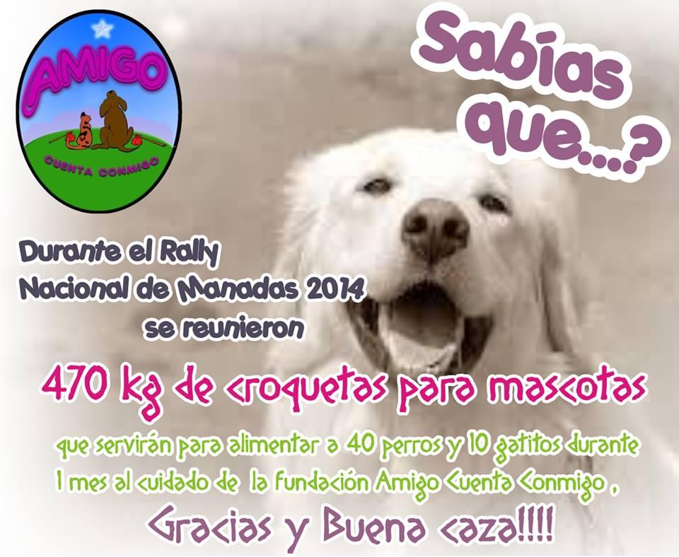 Croquetón Rally Nacional de Manadas 