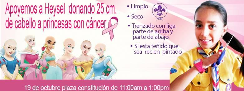 Hagamos de nuestro cabello, cabello de princesa