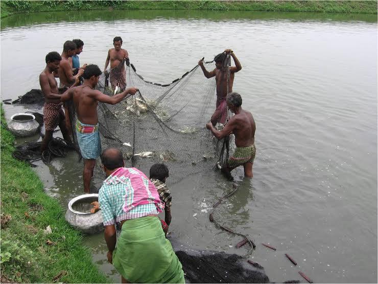 Save East Kolkata Wetlands Project