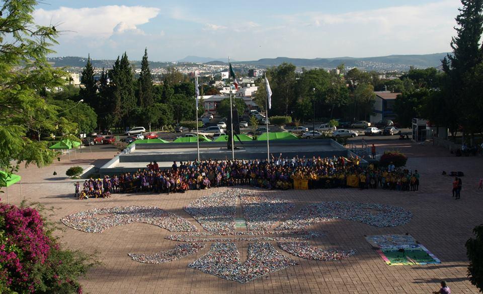 Flor de Lis más Grande de Querétaro