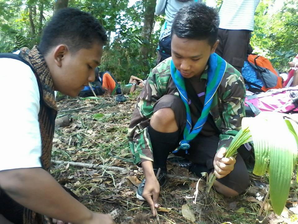 go green 