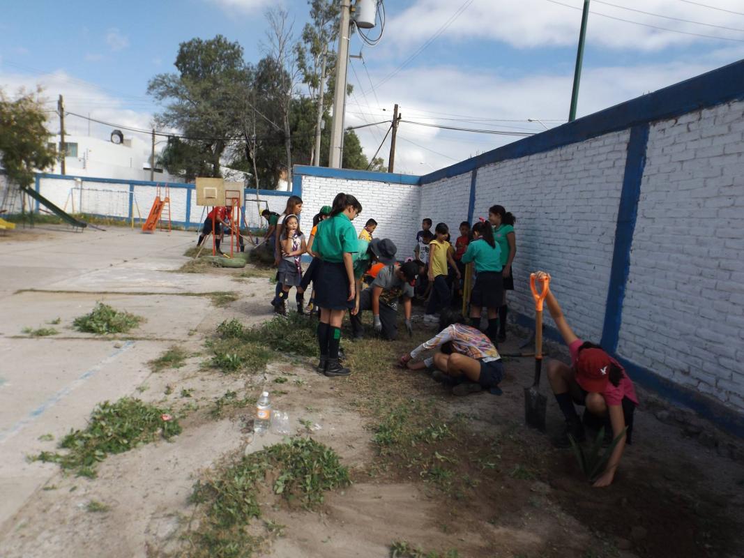 Reforestación en J. de N. Metalúrgicos