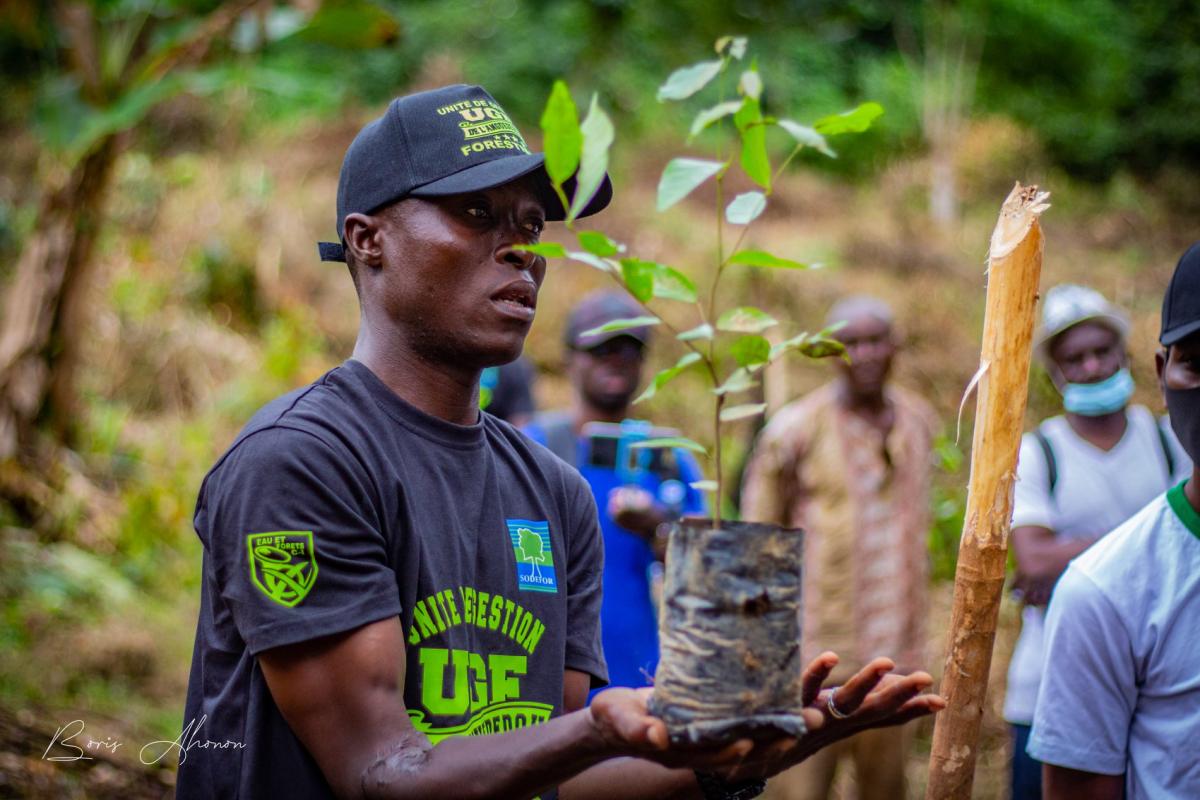 Semaine "Planting" à Anguédédou