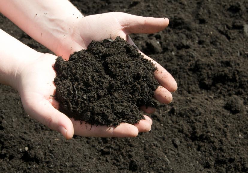Collecting top soil /black soil to plant flowers.