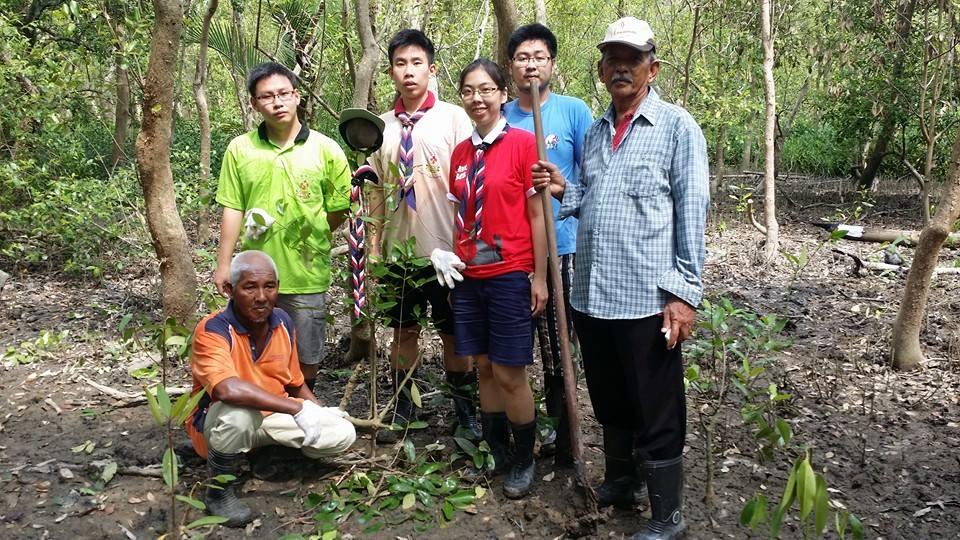 100 Mangrove Trees Planting and Mural Art Drawing