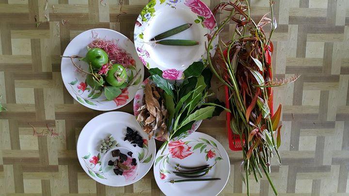 Mangrove Products Exploration & Embellish PIFWA Small Mangrove Education Centre