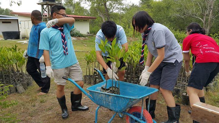 500 Mangrove Trees Planting in-conjunction with World Forestry Day