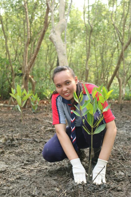 500 Mangrove Trees Planting in-conjunction World Forestry Day with iM4U and  Local Scouts 