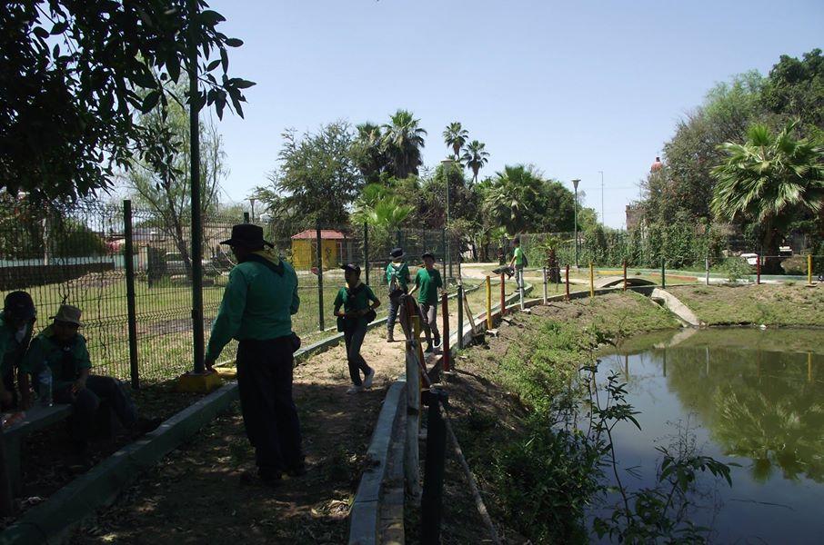 limpieza de parque de las tortugas