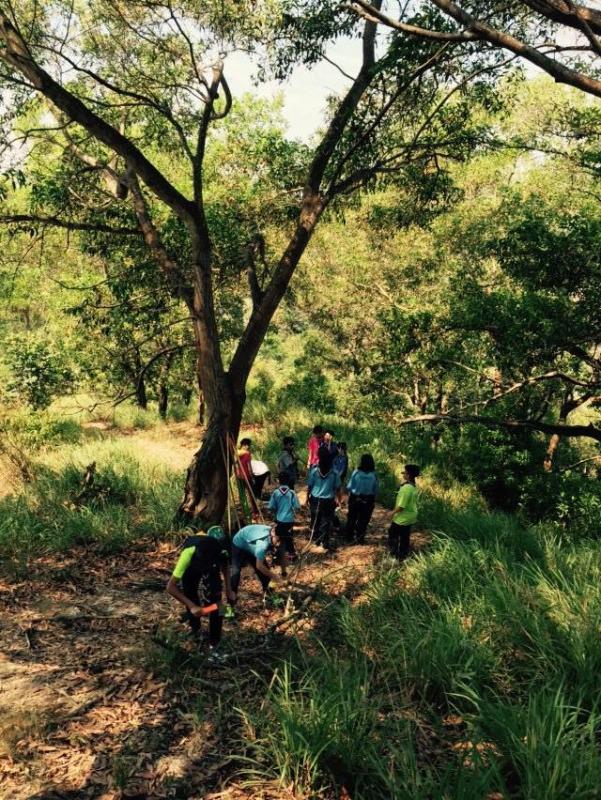 Collecting FireWood and teching new Scout how to use axe and Parang Knife