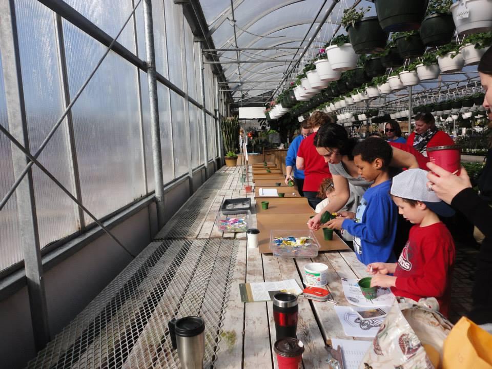 Beaver Scouts Plant Milkweed