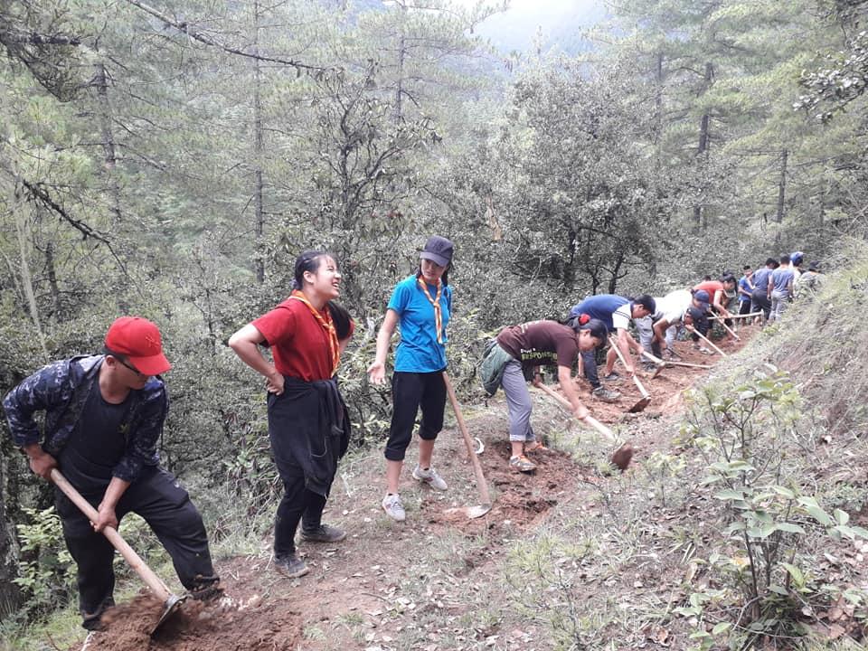 Route clearing 