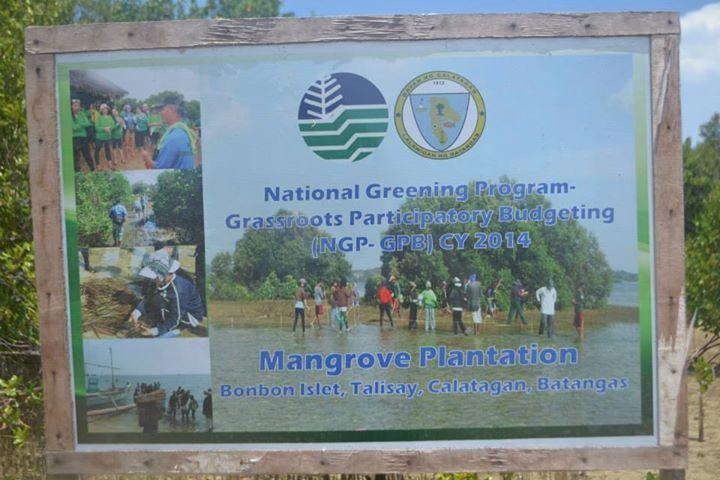 Mangrove Tree Planting