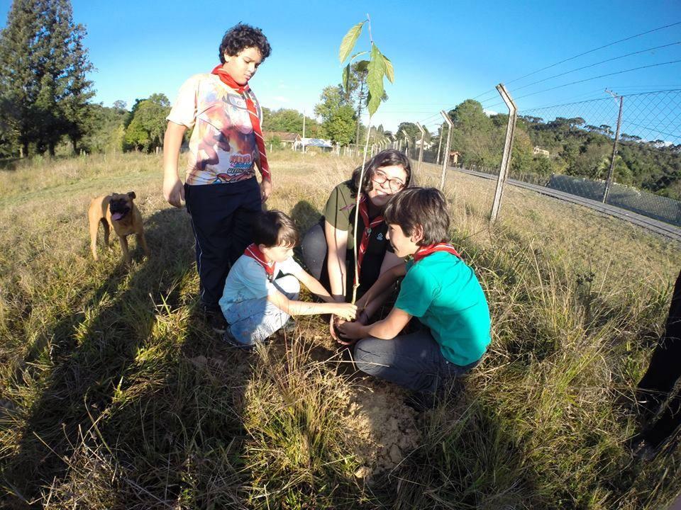 Trees For The World
