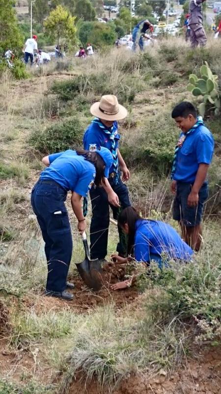 Reforestación en el marco internacional del medio ambiente Zacatecas 