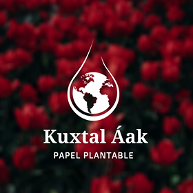 Kuxtal Áak Papel Plantable 