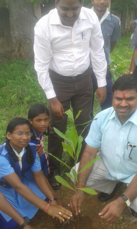 GRENERY CHHATTISGARH State 2015 (Plantation Programme), India