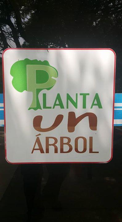 Taller de re-forestación y plantación, Servicio a la plaza Baden Powell