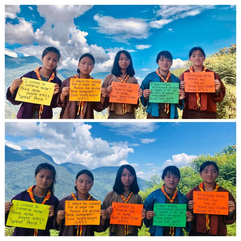 International Day of Peace(Shaping Peace Together)