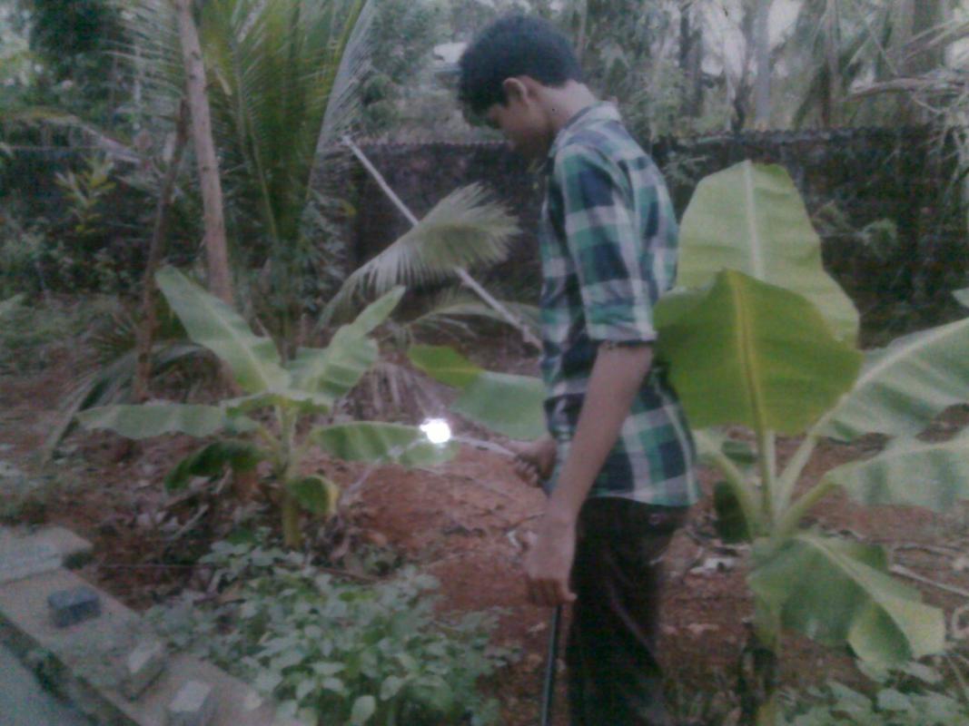 New Plants to Mother Earth