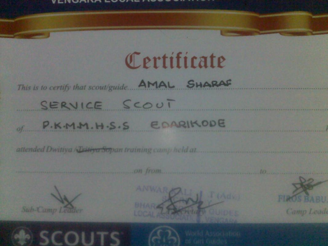 Teaching D.S scouts