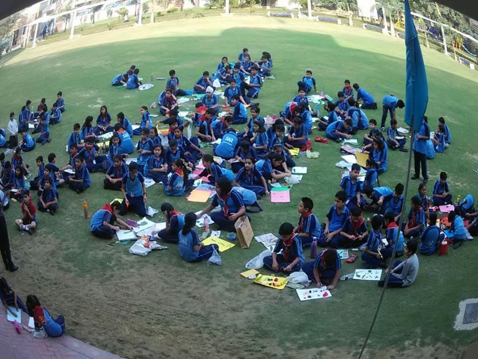 Different activity comptition cub And bulbul...