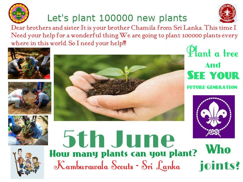 Tree Planting campaign
