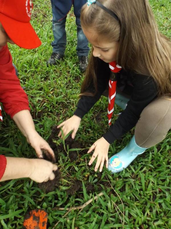 Promoting peace through environmental solutions.