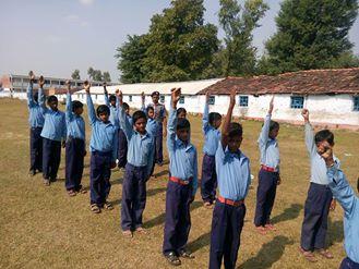 cub / bulbul playing game..