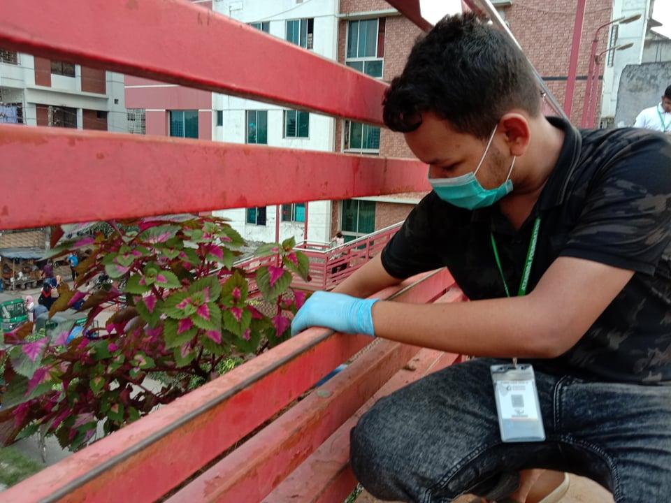 বৃক্ষরোপণ অভিযান