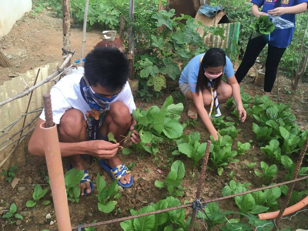 SANGALAB Circle 10 launch Urban Gardening