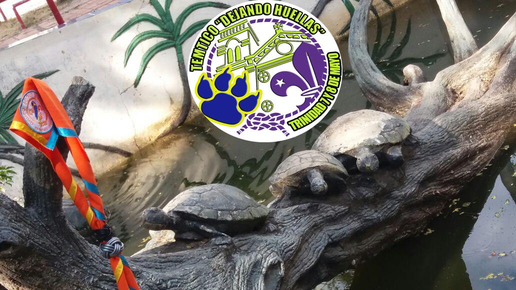 Grupo Scouts T´rinnra - Tropa Ashanti - Temtico “Dejando Huellas”