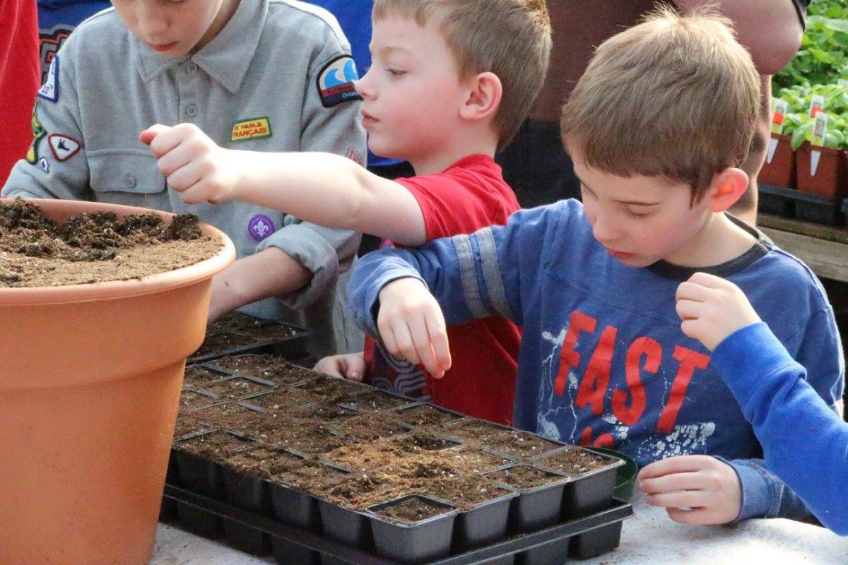 London Scouts seed planting 2016