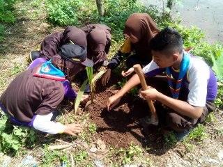 Tree Planting Project as program Road to #EarthHour2016 Project