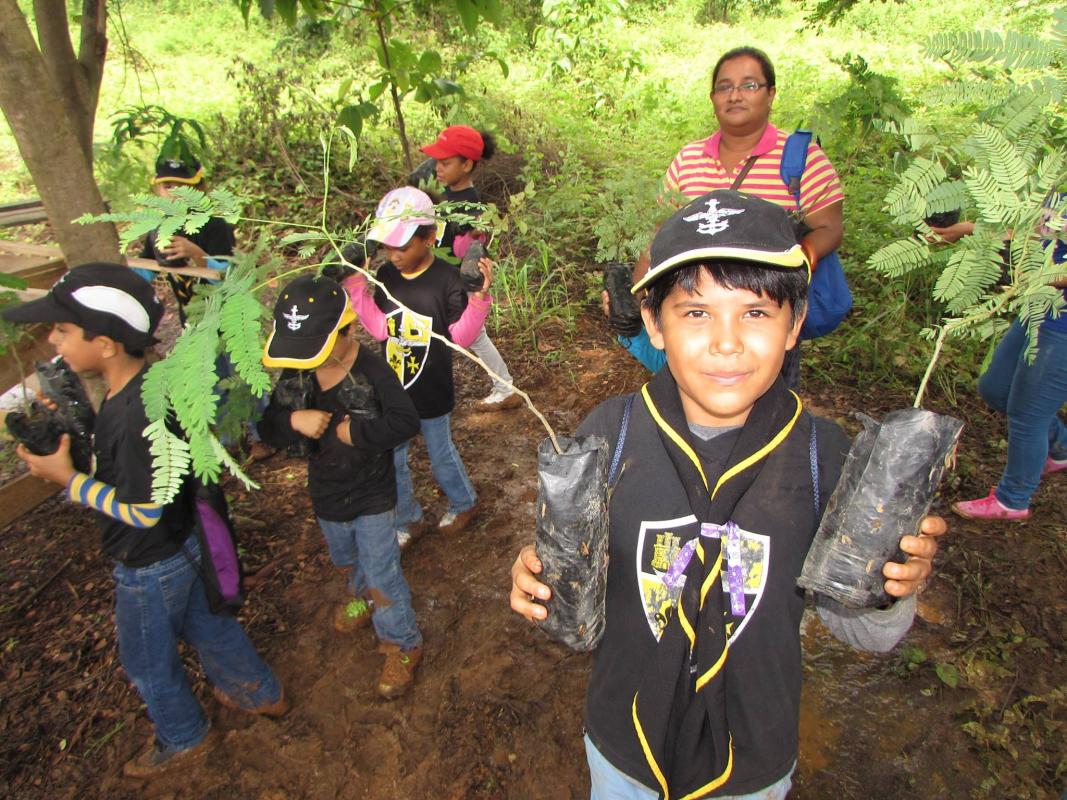 Reforestación de áreas protegidas después de incendios forestales