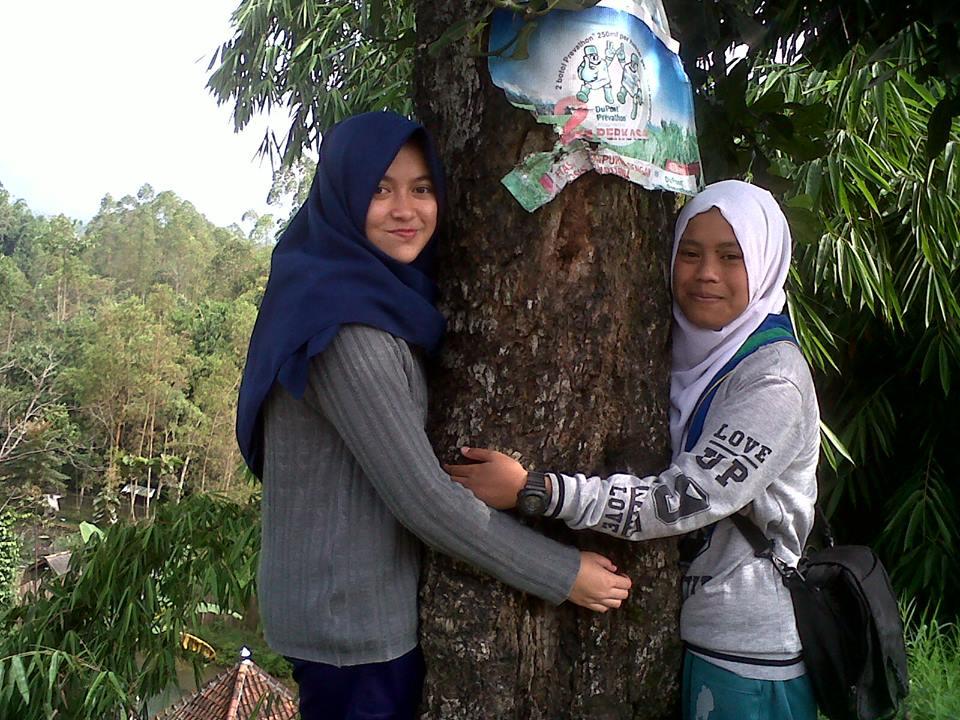 Tree Hugger