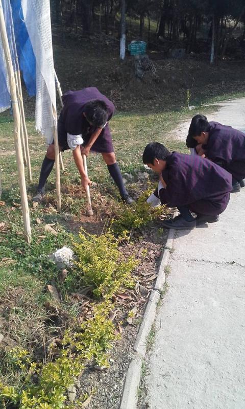 མེ་ཏོག་ལྡུམ་ར།