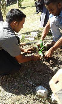 "GOING GREEN...MORE TREES, BETTER ENVIRONMENT"