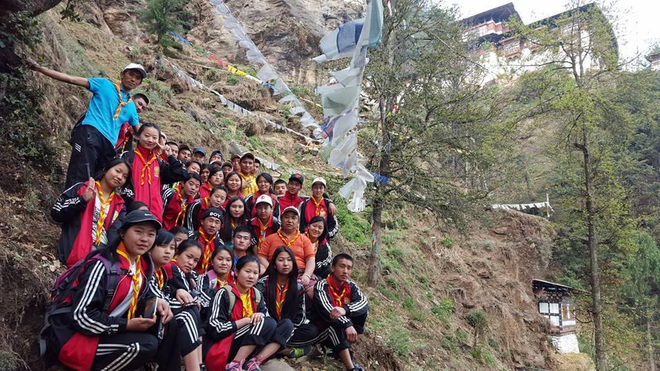Tree plantation