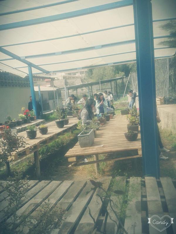 Vivero para la Vida