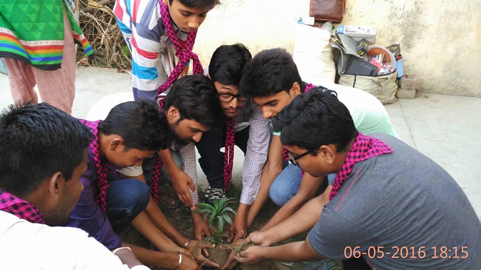 World Environment Day