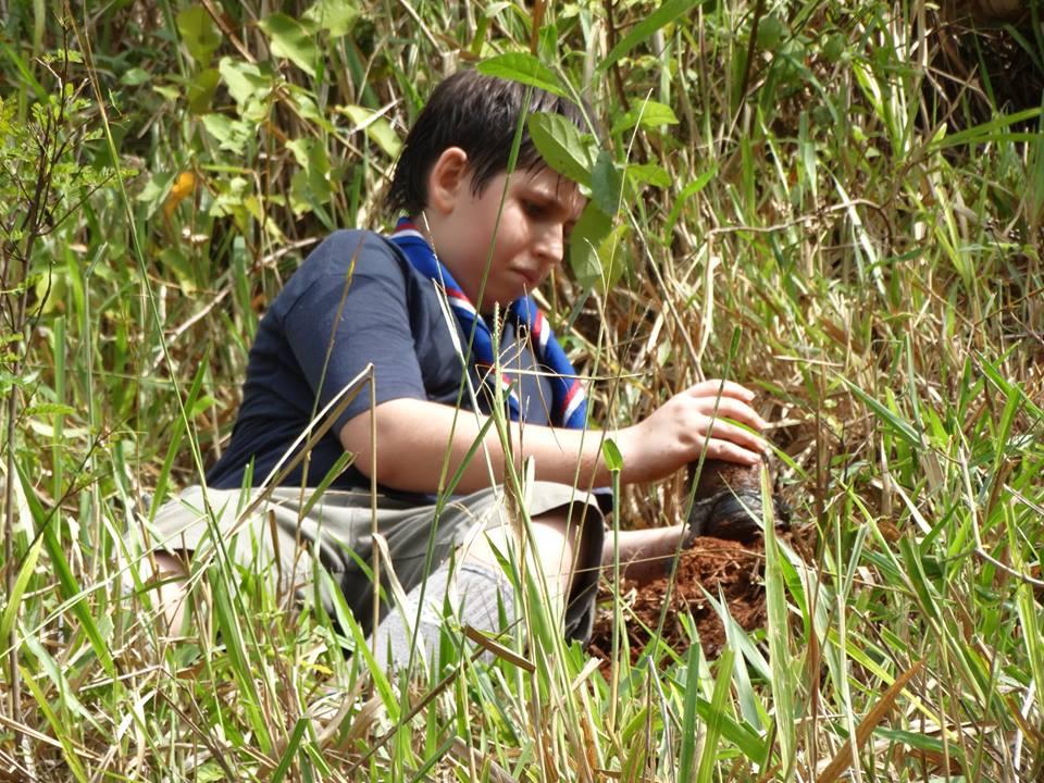 Plantio de mudas de árvores nativas e limpeza da trilha