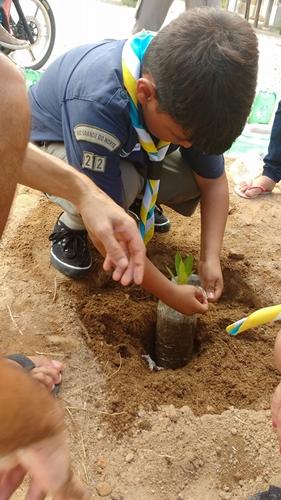 Arborizando a quadra 