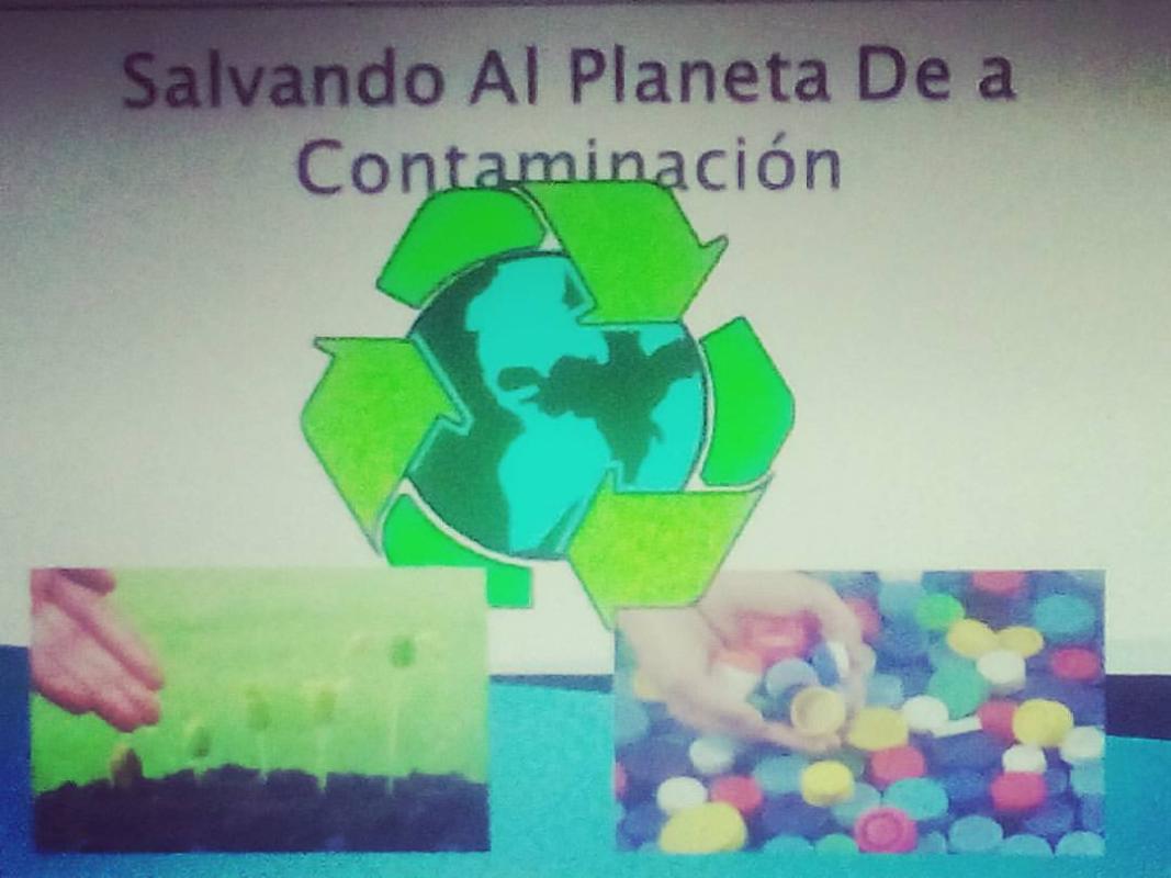 Reciclar Y Sembrar 