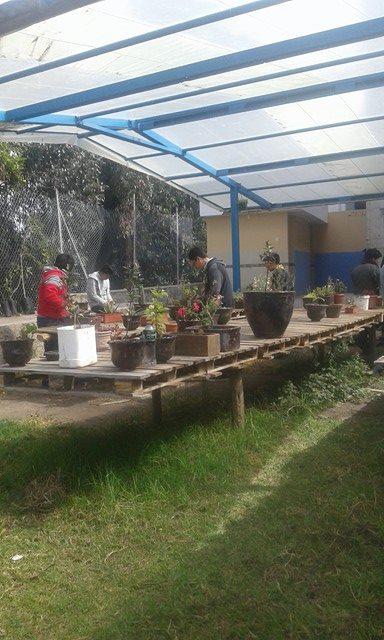 Vivero