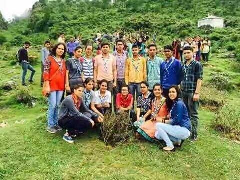 Plantation at village Damrog Solan 
