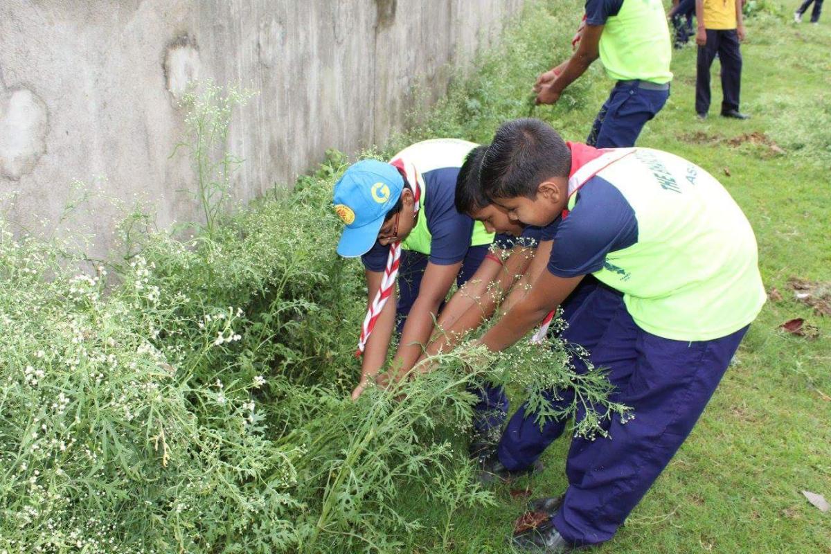 cleanness programme 