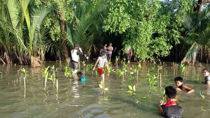 Mangrove Planting