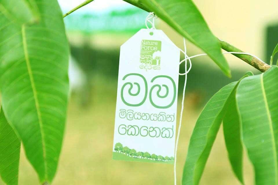 'One Million Trees' Nature Force Manusath Derana with Scouting