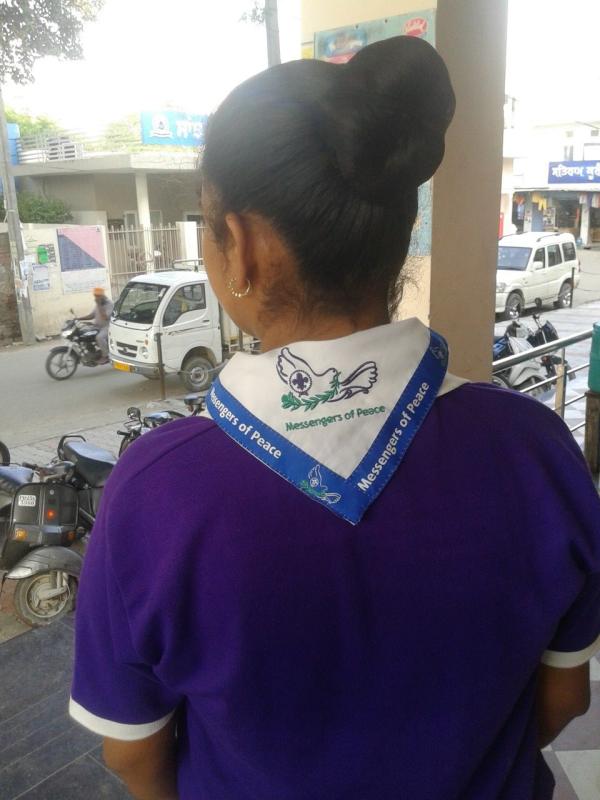 connect to scout.org